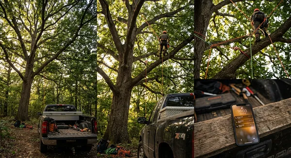 The $200K Phone Problem: Why Tree Care Companies Lose Their Best Leads 60 Feet Up