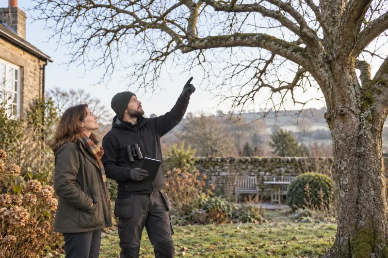 Your Tree Service Has Quotes. Does It Have Winter Work?